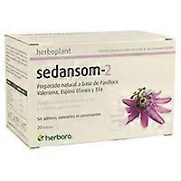 Sedansom 2 20 infusion bags