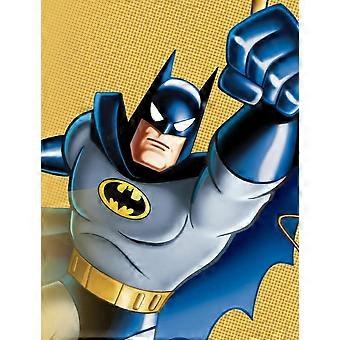 BATMANIMATED Legpuzzels TD377