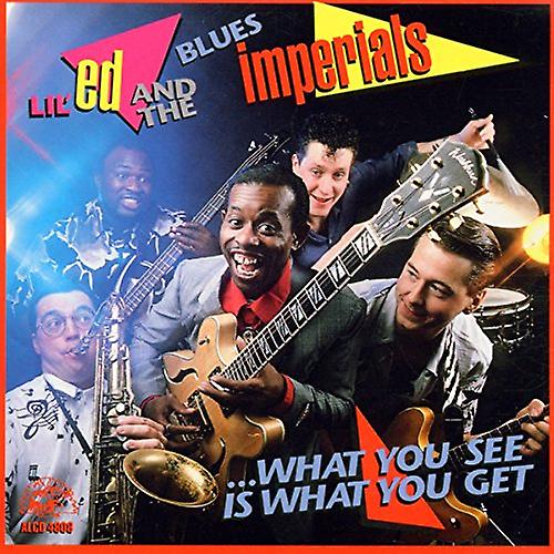 Lil' Ed & The Blues Imperials - What You See Is What You Get [CD] (リル ・ エド ・ ブルース ・ インペリアルズ) - What You See Is What You Get [CD] (リル ・ エド ・ ブルース ・ インペリアルズ) - What You