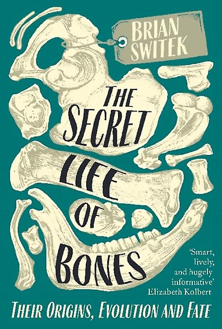 The Secret Life Of Bones by Brian Switek Paperback