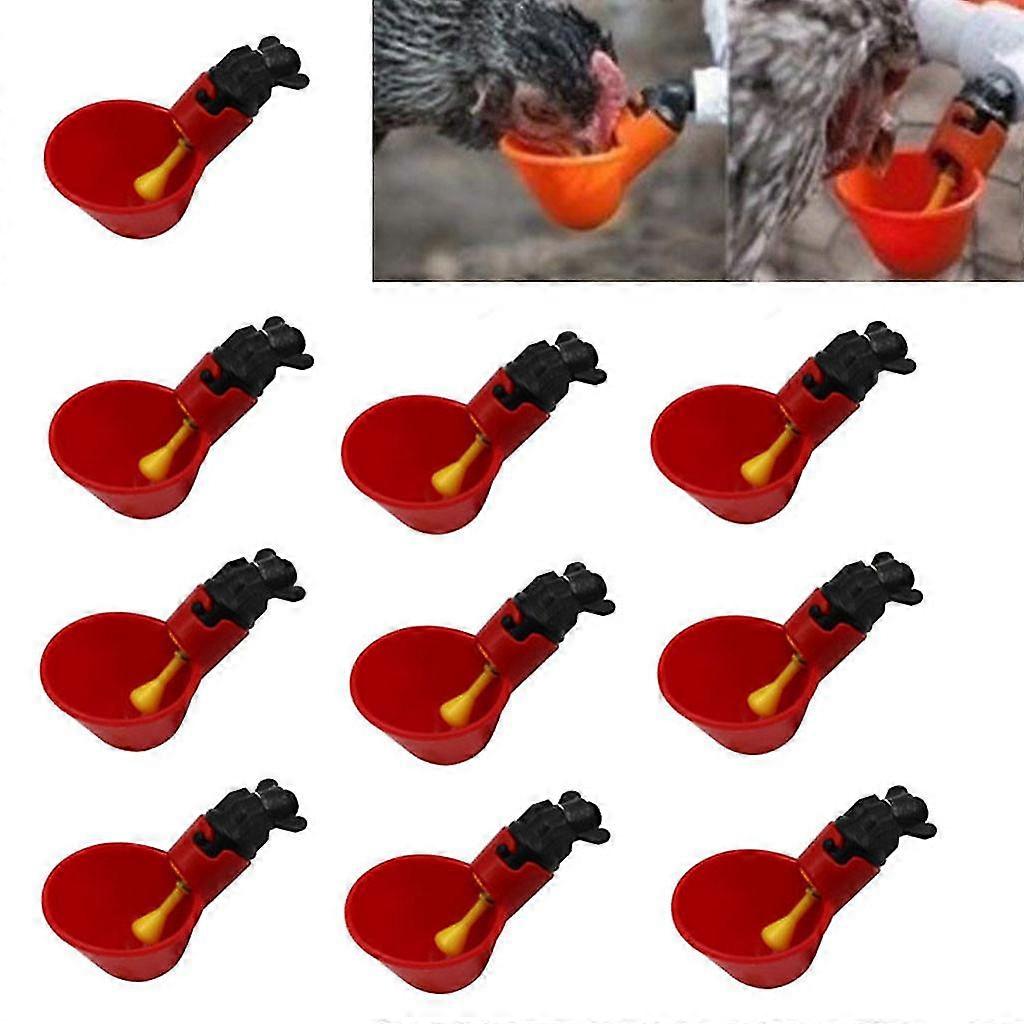 Feed Automatic Bird Coop Poultry Chicken Drinker Water Drinking Cups 10pcs