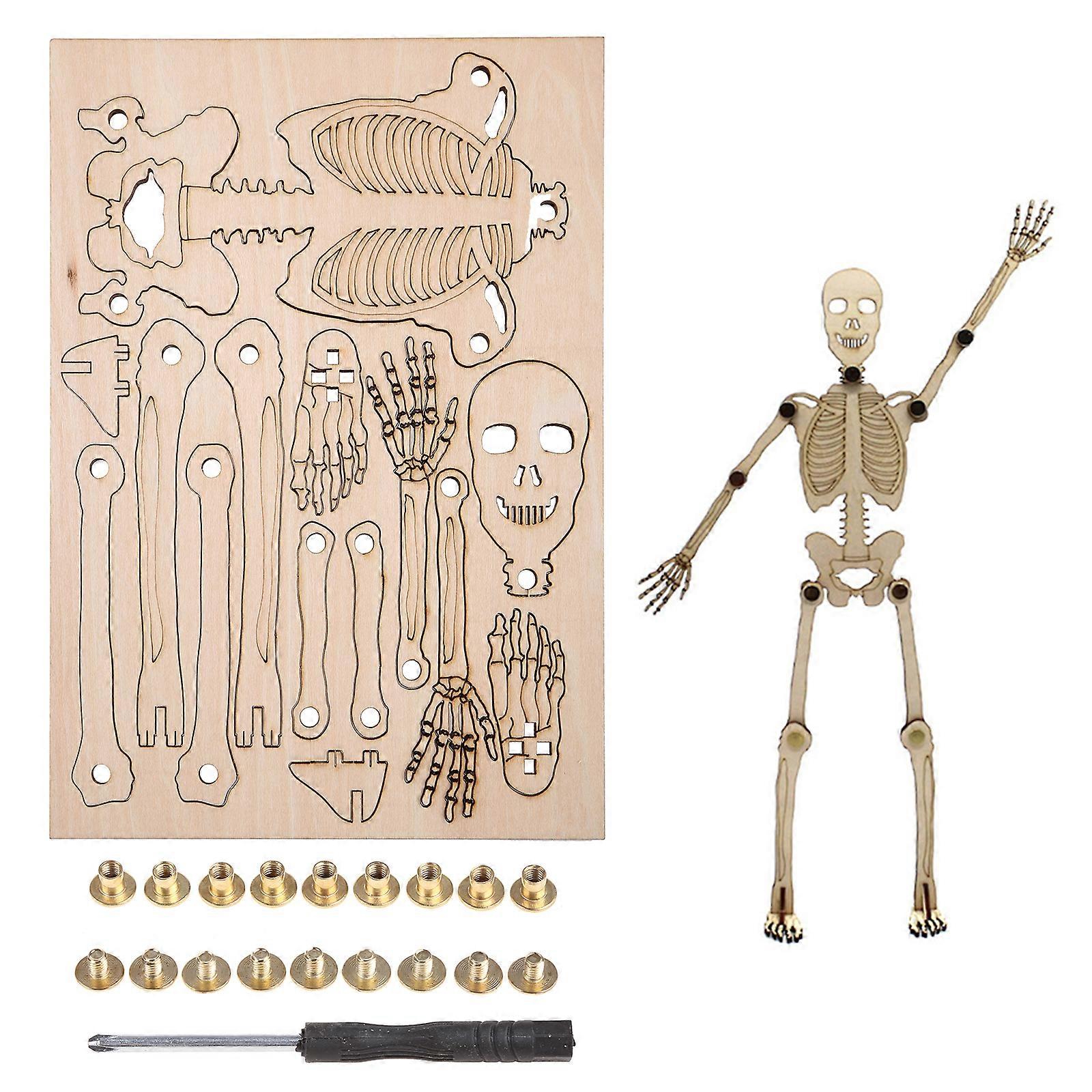 3D Human Skeleton Puzzle Model Early Learning Assembly Block for Preschool Kids