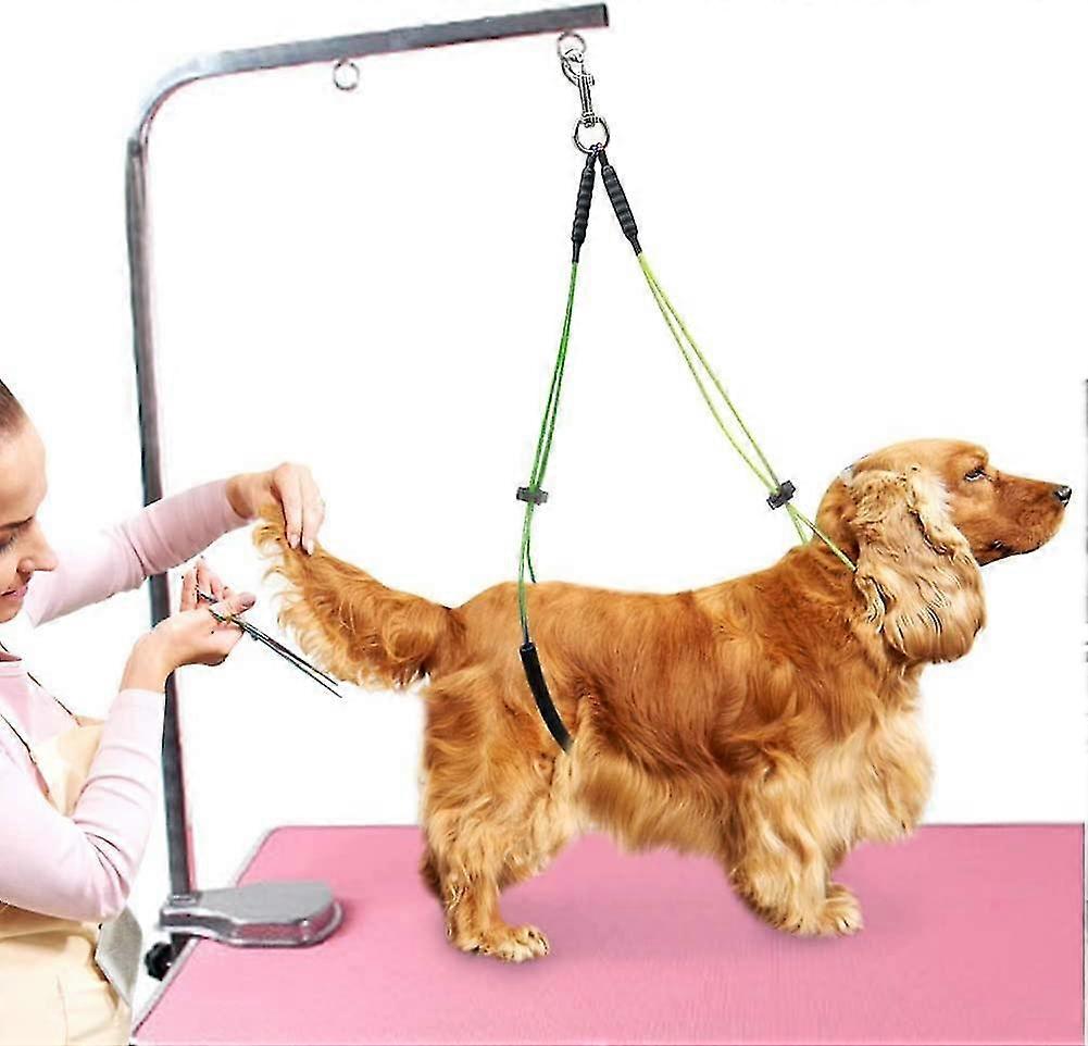 Pet Grooming Τραπέζι Σχοινί Κατοικίδιο ζώο Περιποίηση Λουριού λαιμός και Hock Κάτοχος Σκύλος Περιποίηση Πόρπη Πόρπη Κίτρινο + πράσινο