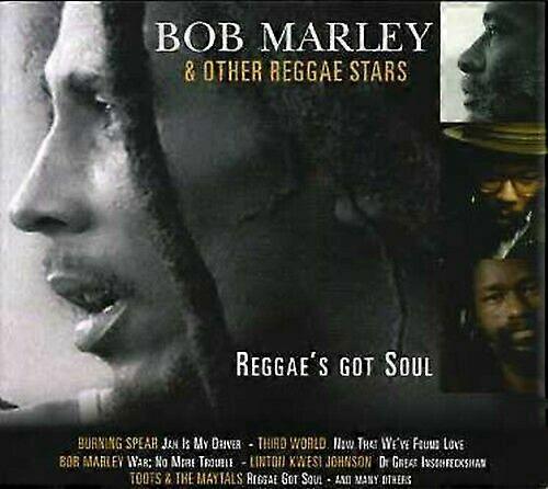 Reggaes Got Soul CD (2006)