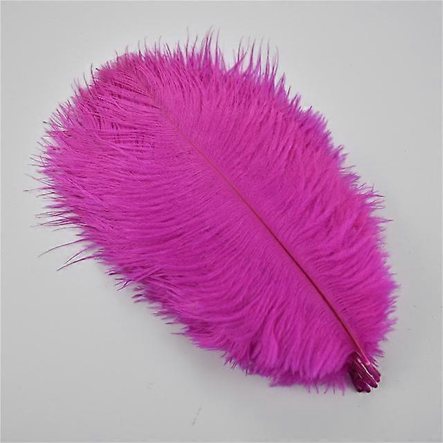 10pcs /lot 15 -20cm φτερά στρουθοκαμήλου διακοσμήσεις διακοπών δημιουργία κοσμημάτων πολύχρωμα λοφία καρναβάλι φτερά αξεσουάρ χειροτεχνίας