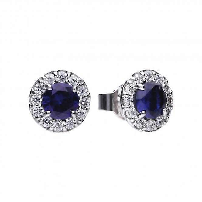 Diamonfire Silver Blue Zirconia Round Earrings E5598