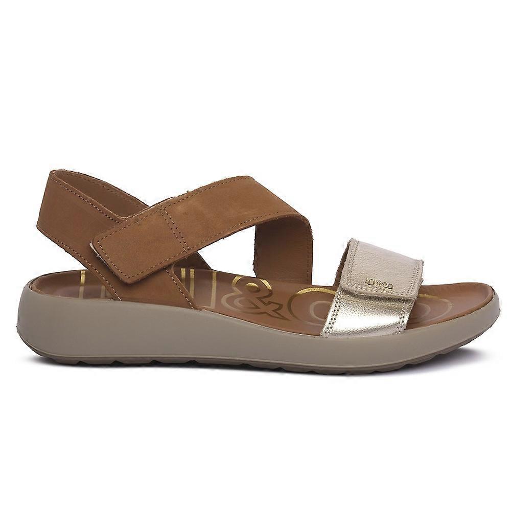 Shoes IGI&CO Palmer 7678511