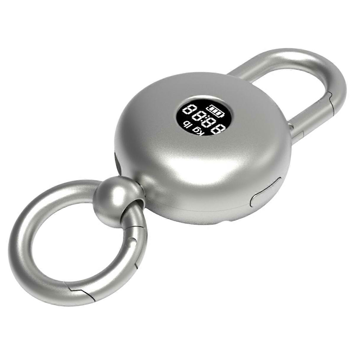 Mini Handheld LCD Scale Portable Electronic Scale 25 KG Capacity Scale in Key Size 278 MAh Recharge