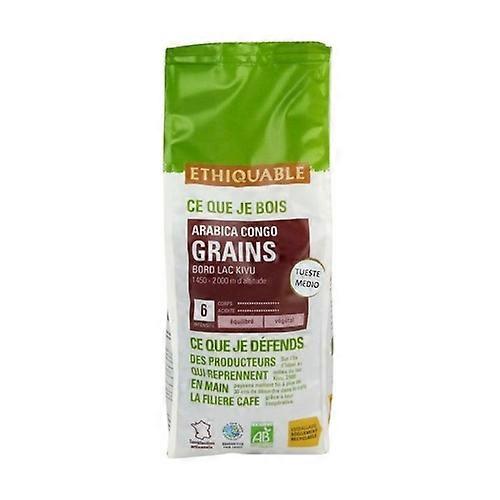 Premium Coffee Congo Organic Bean 500 g