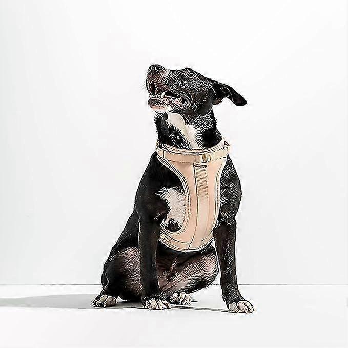 2025 3 Leash Clips Chest Harness For Dog