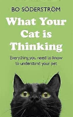 Vad din katt tänker