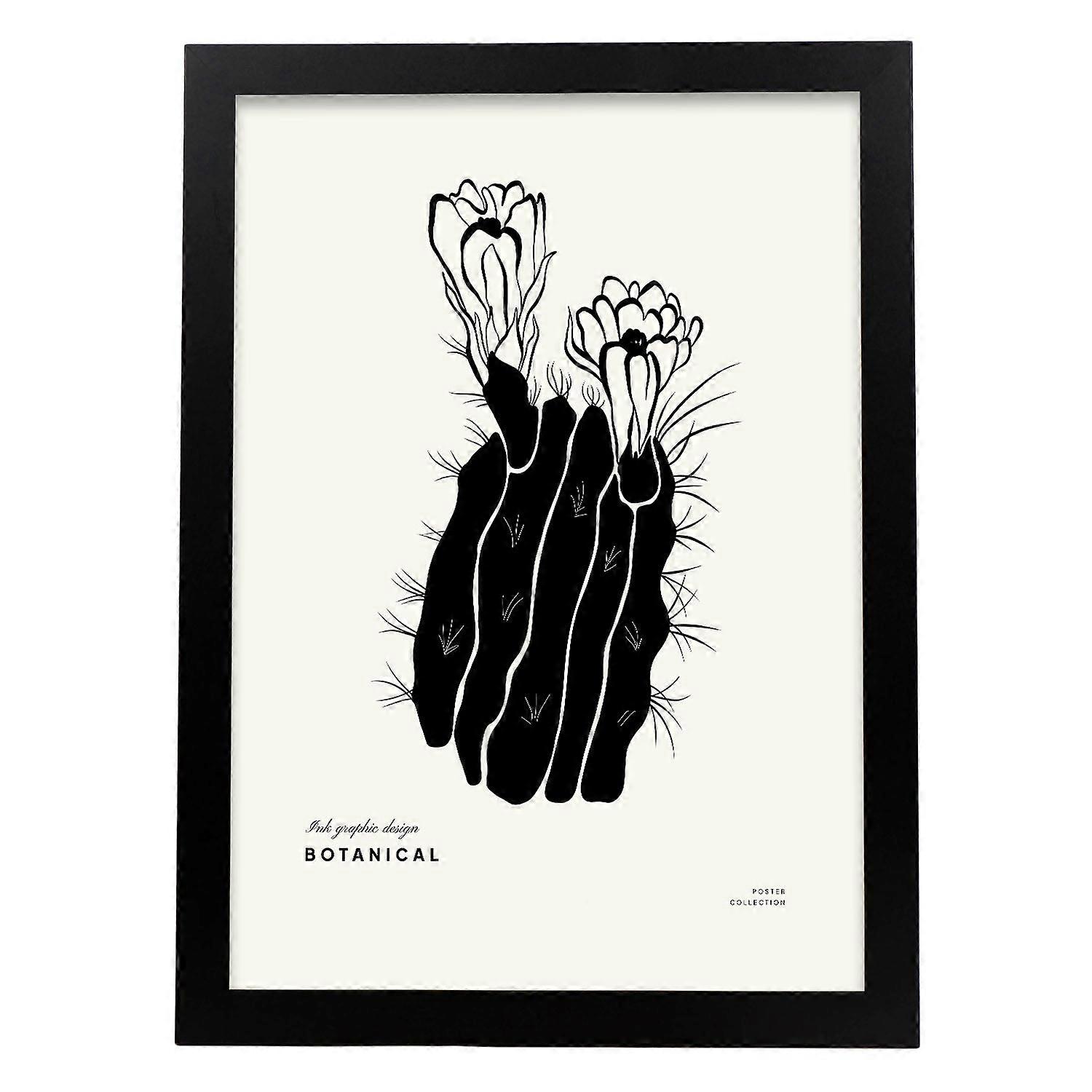 Kaktus Blume Poster