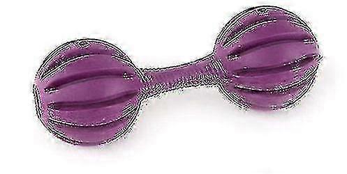 Premier Waggle Bone (cães, Brinquedos e Esporte, Inteligência e Brinquedos Interativos)