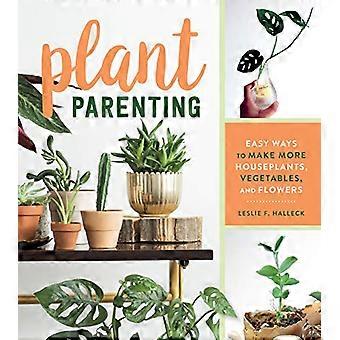 Plant Parenting Easy Ways to Make More Houseplants Vegetables and Flowers