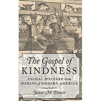 Evangelho da Bondade C - DAVIS - Capa dura - Livro em inglês - História