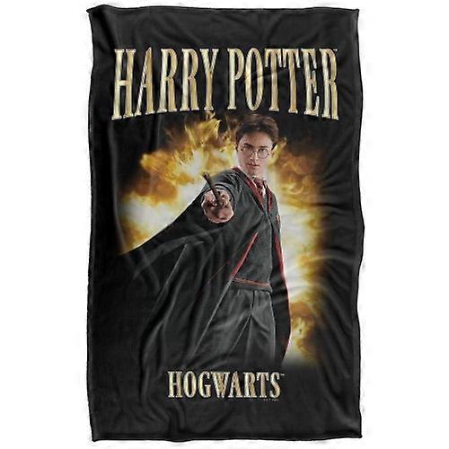 Harry Potter Poster 90s Blanket