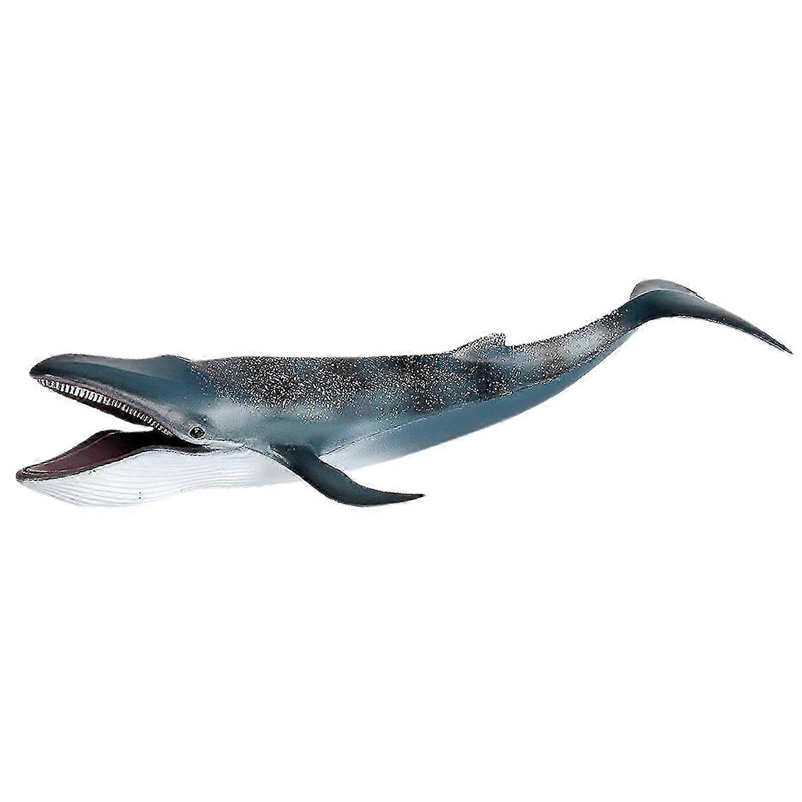 Realistic Blue Whale Pool Toy