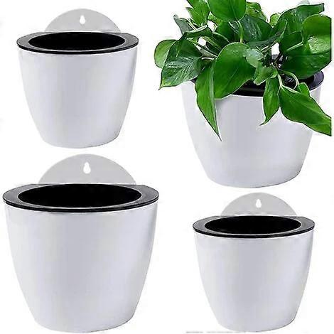 Self-Watering Vertical Wall Planter for Herbs