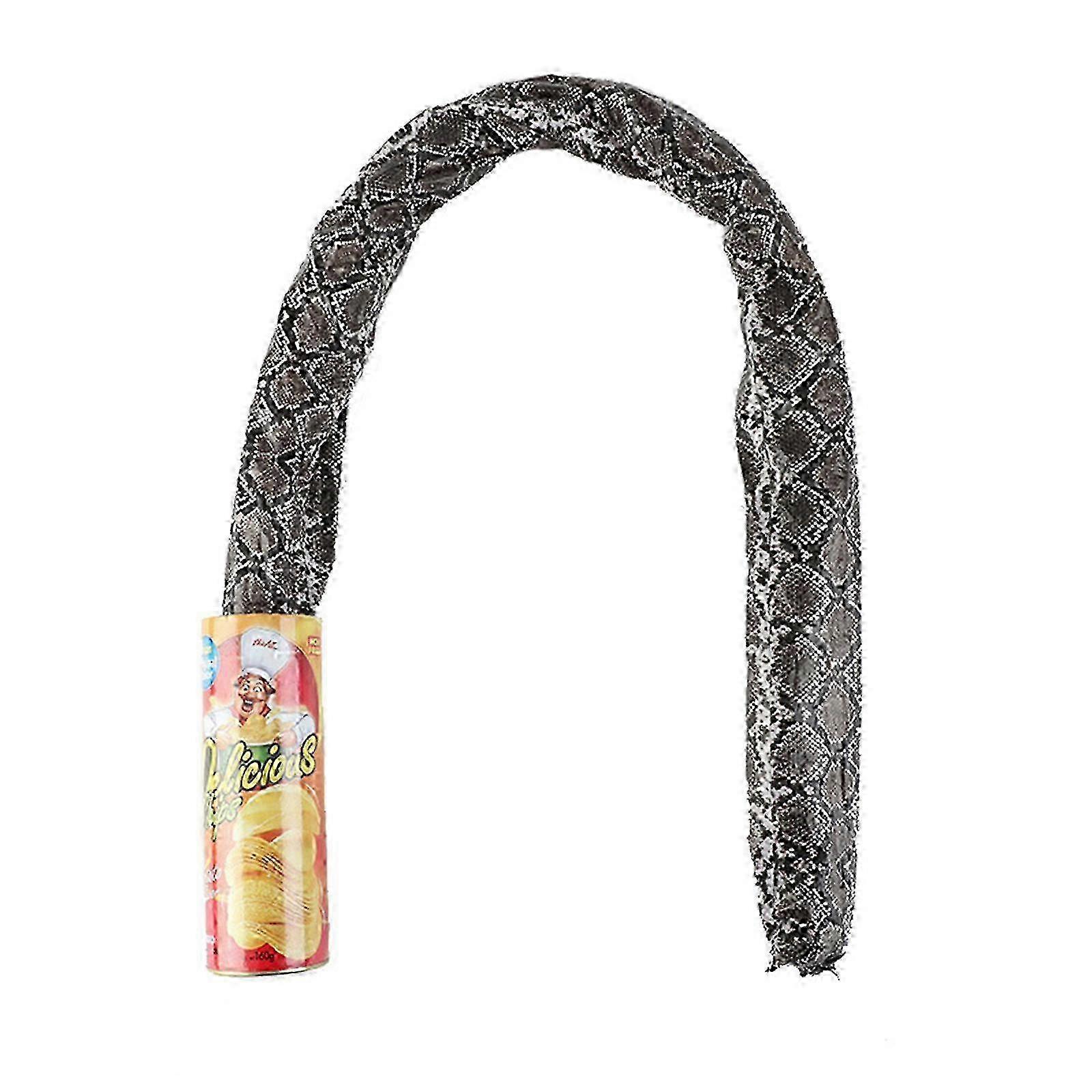 Humorous Snake Surprise Can