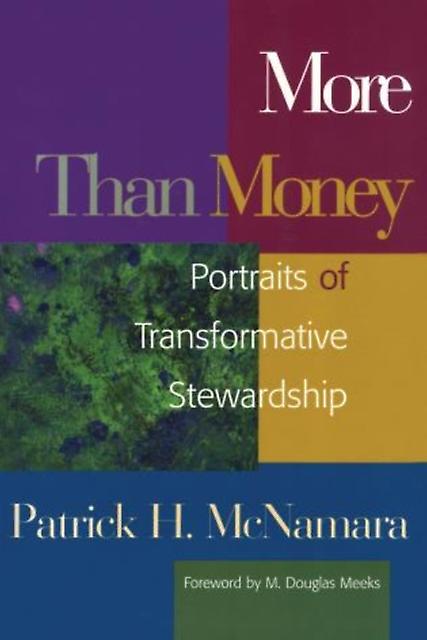 More Than Money by Patrick H. McNamara Paperback Book
