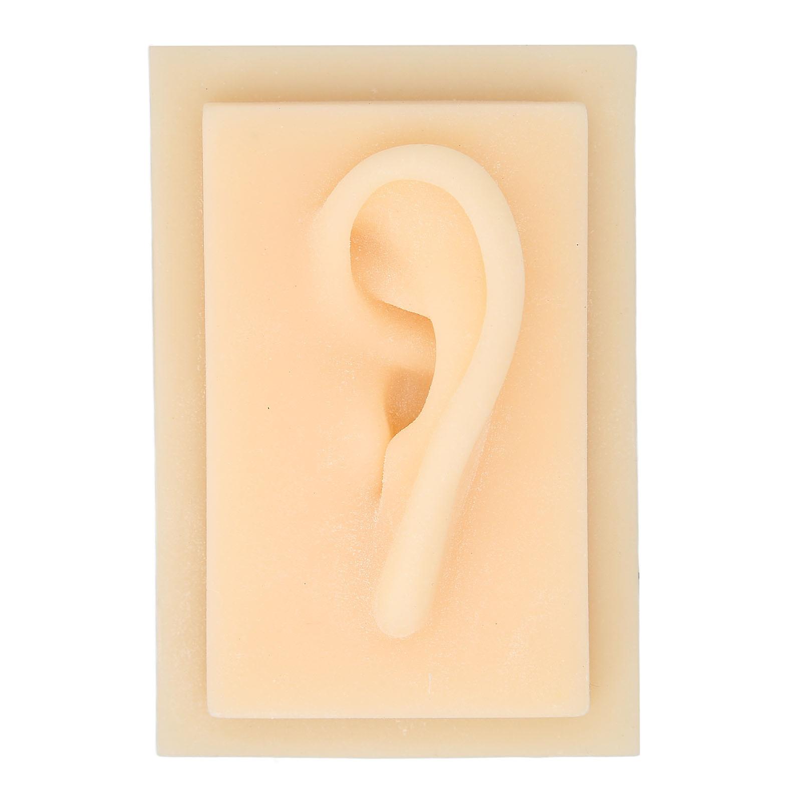 Silicone Ear Glossy Texture Vivid Shape Comfortable Soft Human Ear Model for Teaching Presentation ToolsLeft Ear