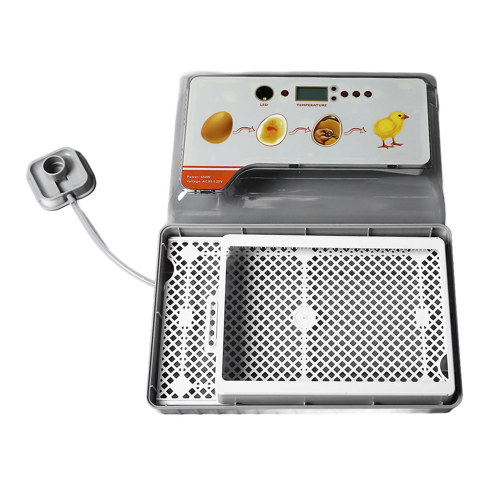 Small Smart Incubator Poultry Egg Incubator 20 Eggs Smart Incubator with Automatic Egg Turning and Humidity Control US Plug 110V