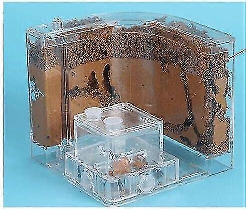 كبير شفاف النمل البيت ملء الطين الرمل النمل مزرعة عش المنزل الموئل المهنية النمل فيلا النمل Terrarium كيت (اللون: مروحة التربة 21x11x11cm, الحجم: 21x
