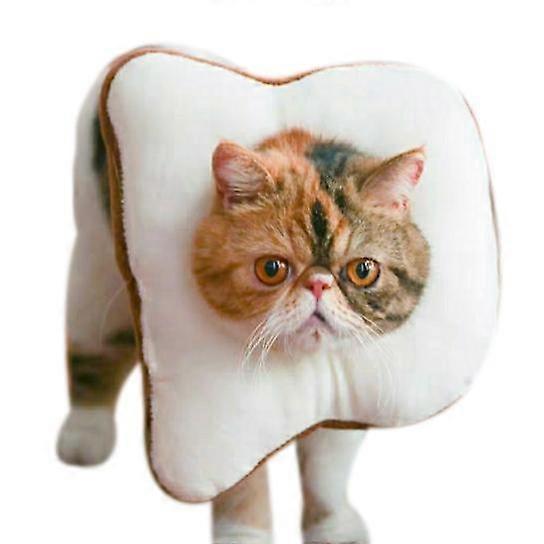 Cat Cone with Adjustable Neck Soft Cat Recovery Collar