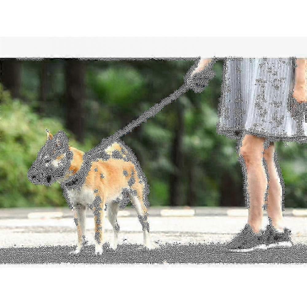 Breathable Basket Dog Muzzle for 2024