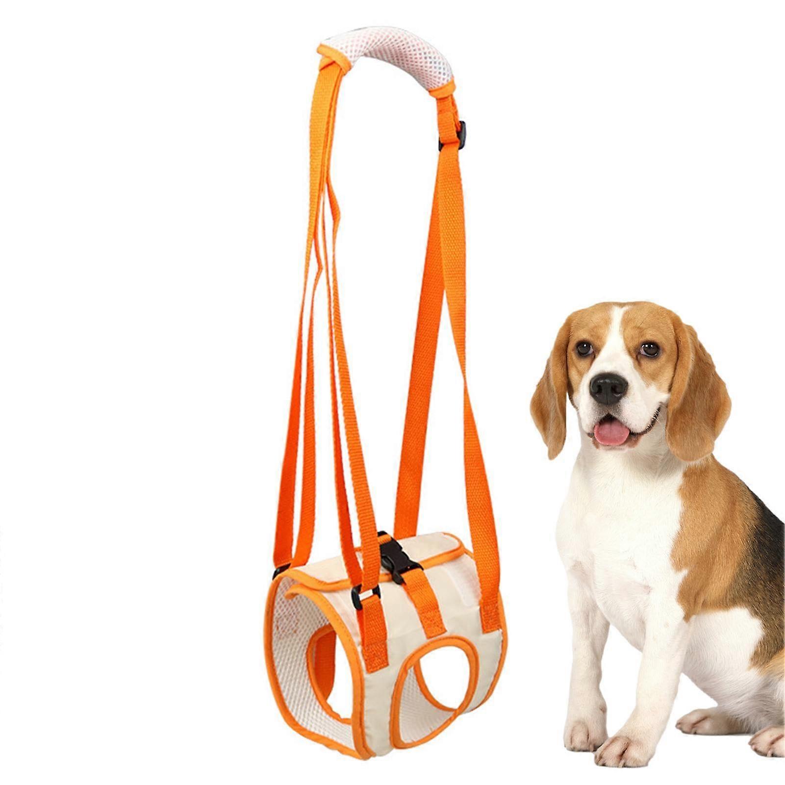 Hip Support for Dogs – Double Mesh Hip Brace for Pets, Large Size, Ergonomic Grip, Breathable Support Strap