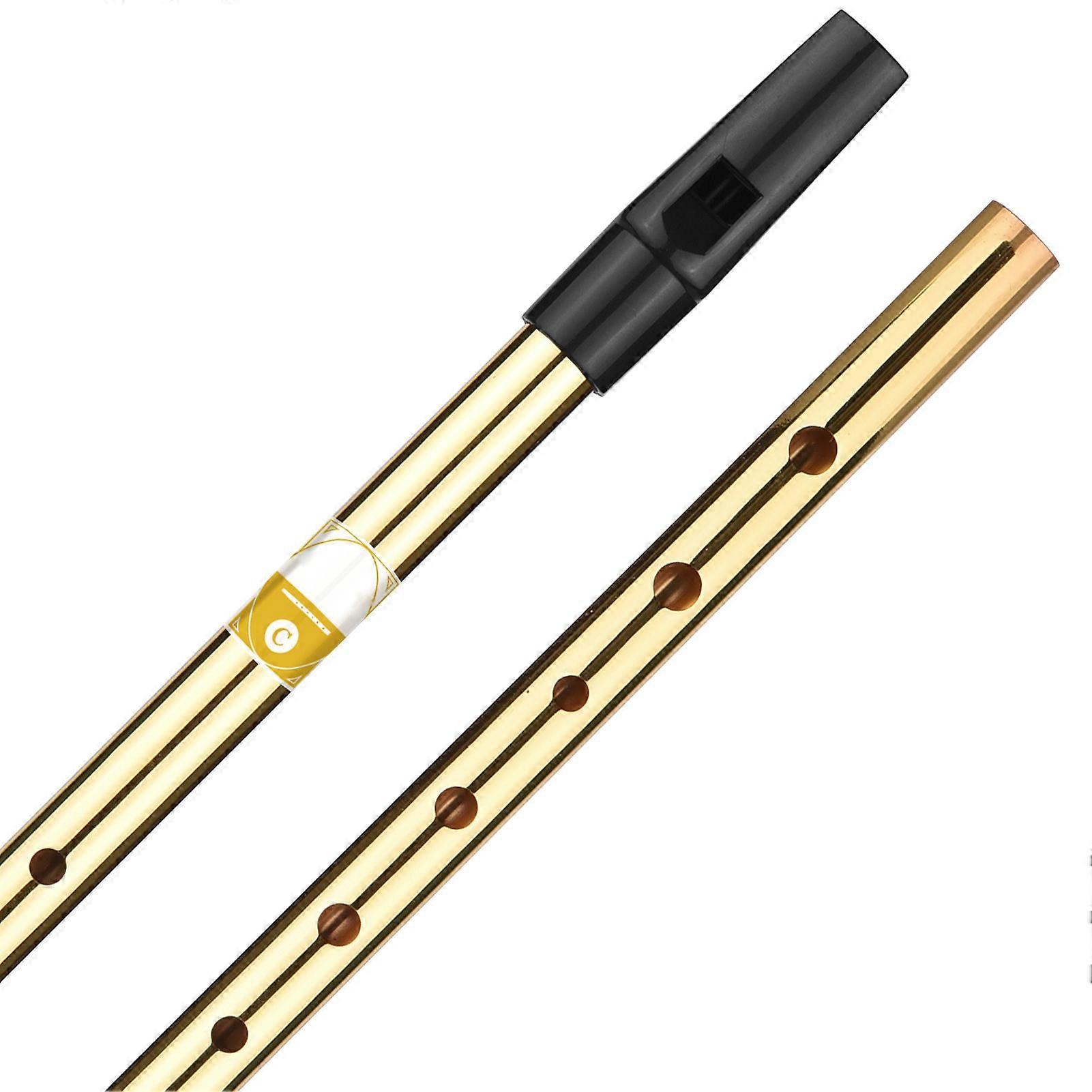 Irish Whistle Flute Key of C 6 Holes Flute Wind Musical Instruments for Beginners Intermediates Experts