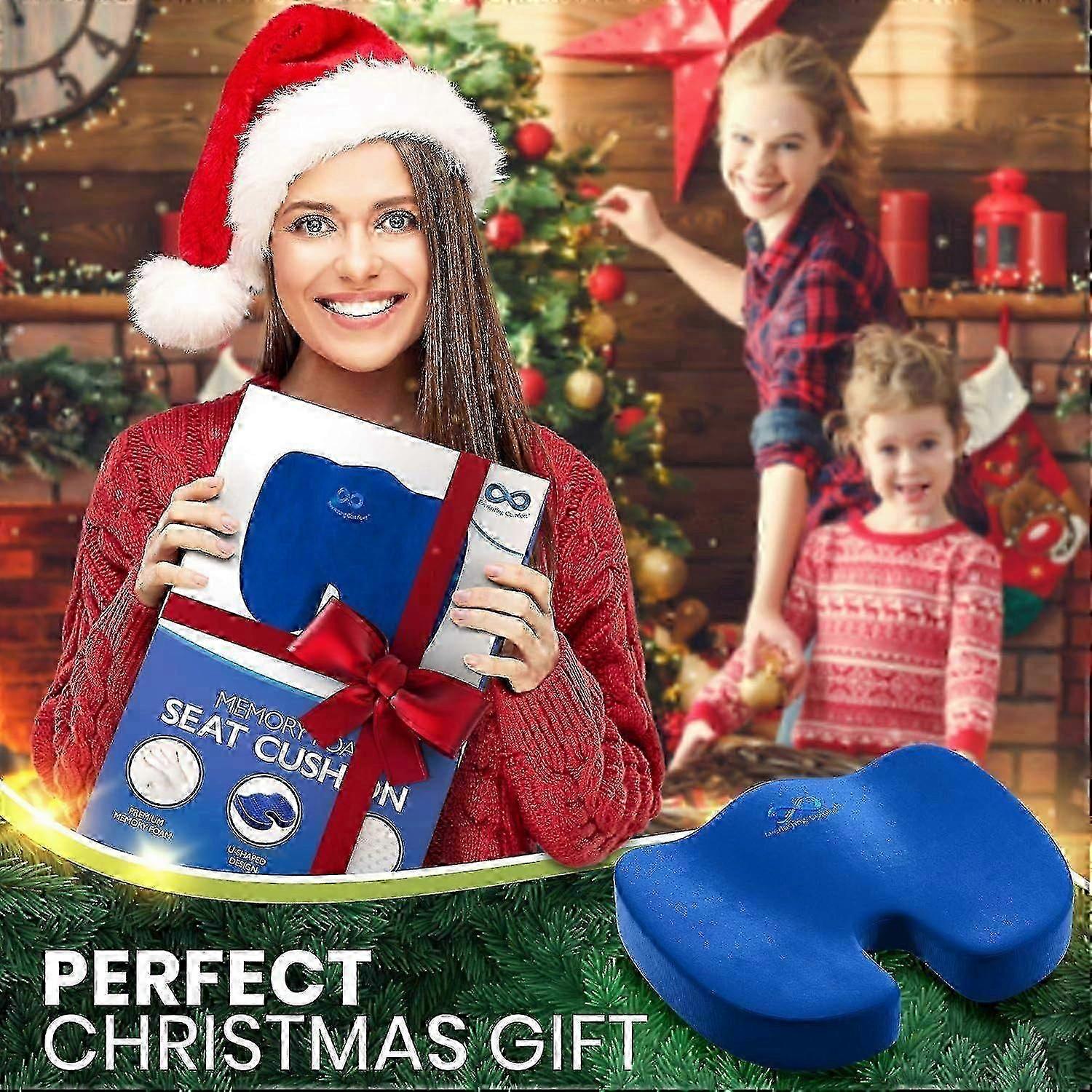 Everlasting Comfort Seat Cushion for Office Chair - Memory Foam Coccyx & Tailbone Support Pillow for Sciatica Pain Relief, Back Pain, Desk Chair (Blue