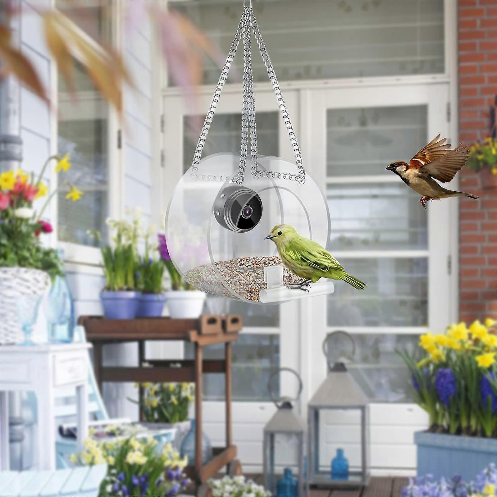 Window Bird Feeder with HD 1080P Camera, Clear WindowMounted Design for Hummingbird Viewing