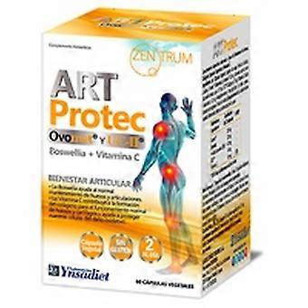 Protec Joints 60 capsules