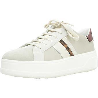 Geox Sport / D Spherica Ecub 2 Sneakers