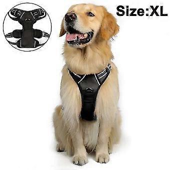 Dog Harness, No-pull Pet Harness With 2 Leash Clips, Adjustable - B