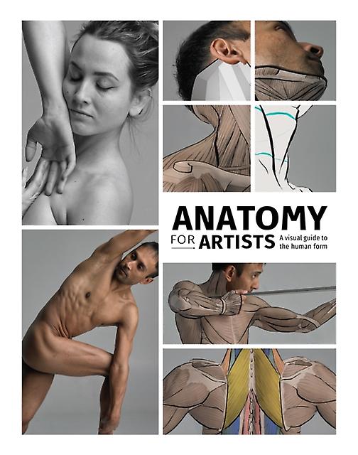 Anatomy For Artists Paperback Book
