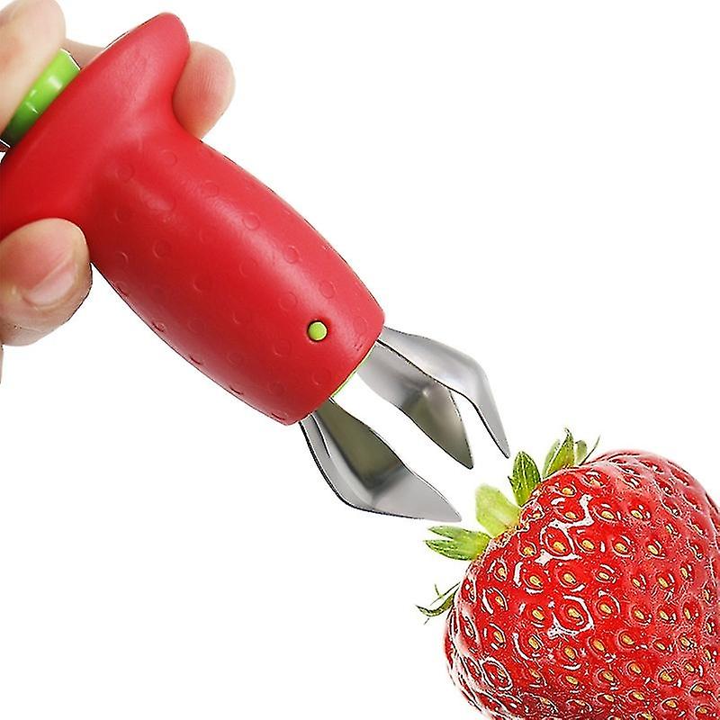 Velo di svernamento della pianta, Velo di svernamento dell'olivo, Velo di svernamento dell'albero, Copertura protettiva del pomodoro limone,