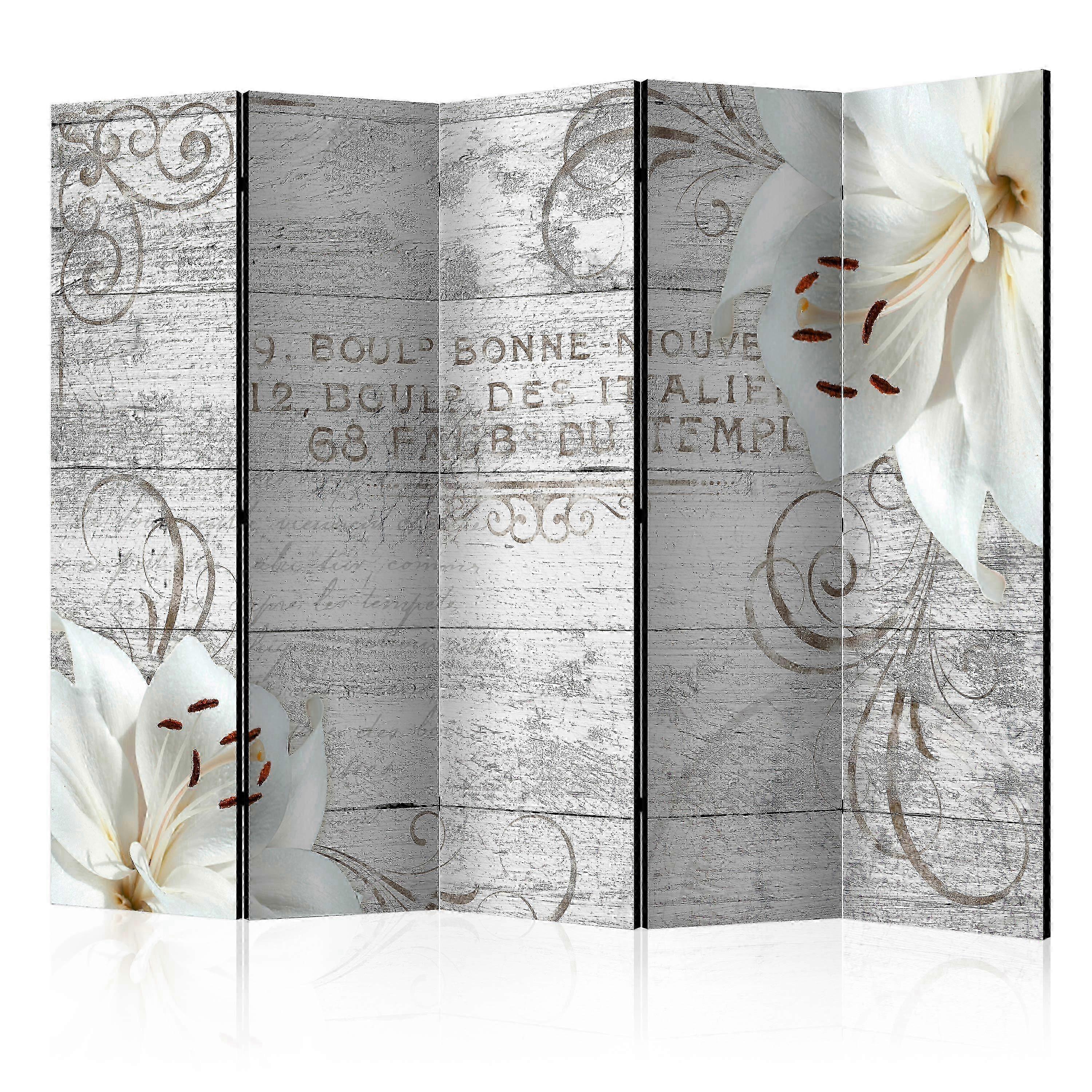 Room Divider - Bonne Nouvelle II