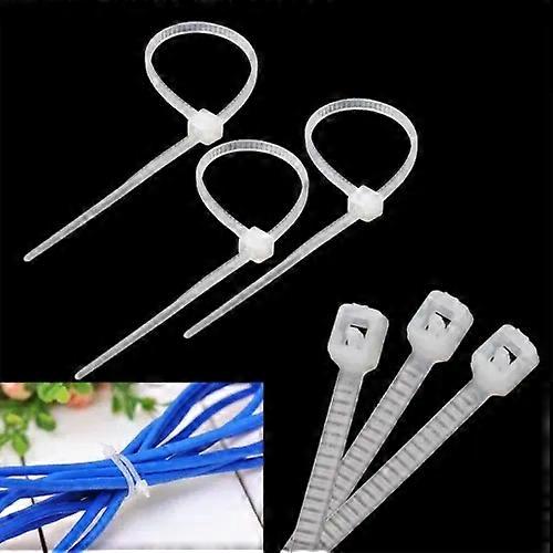 Self-Locking Nylon Cable Zip Ties-10cm,1000pcs Pack |