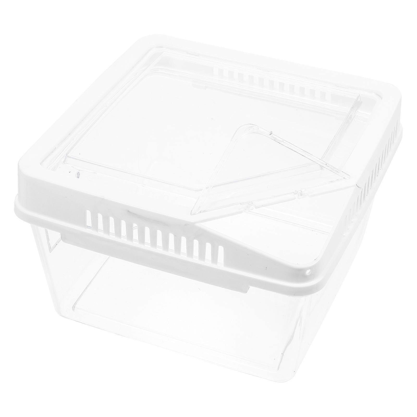 Reptile Feeding Box Small Breeding Container Transparent ABS Habitat for Lizards Turtles Frogs Snakes Durable Spacious Design