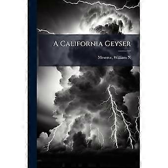 Geyser de Californie