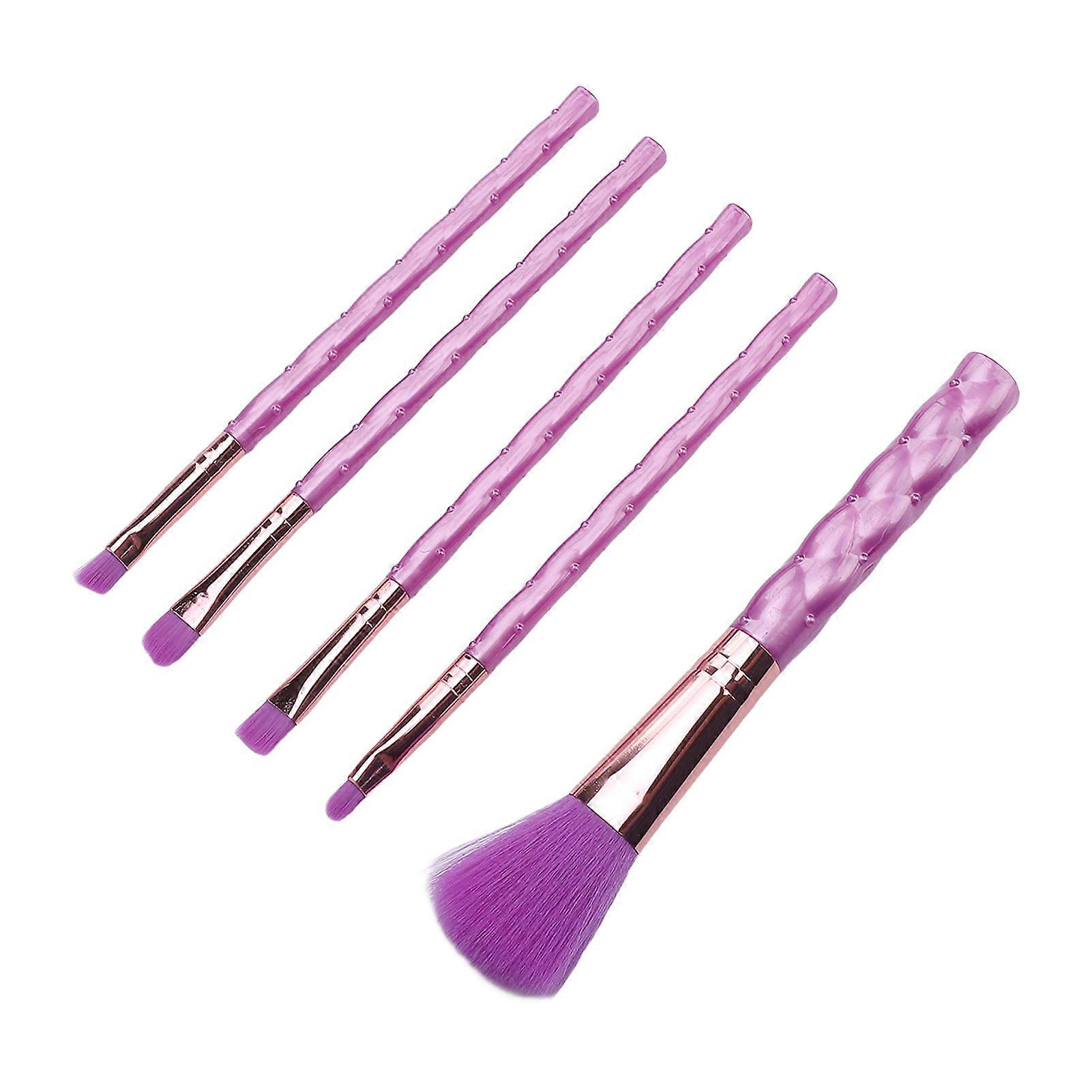 5PCS Set Makeup Brushes Multifunctional ABS Handle Blusher Eyeshadow Brush Set for Beginner 