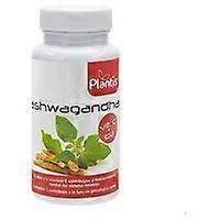 Ashwagandha 60 capsules