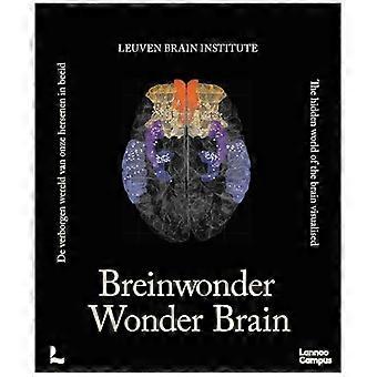 Wonder Brain