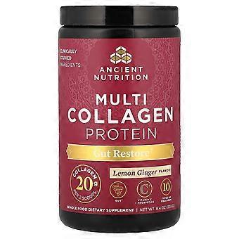 Ancient Nutrition, Multi Collagen Protein, Gut Restore, Citroen Gember, 238 g