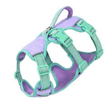 Dog Walking Harnesses with Soft Body-Contact Padding, Reflective Detail, and Adjustment Hardware for Routine Daily Walks  Purple XL