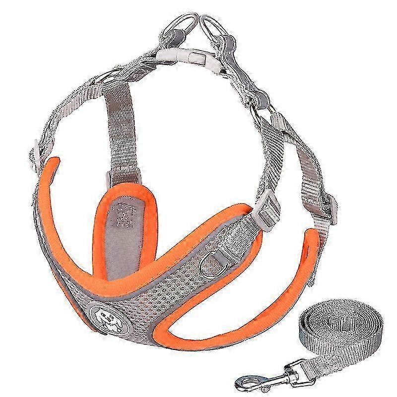 Breathable Dog Harness and Leash Set, Adjustable Reflective No Pull Dog Harness with Thickened Padded Vest, for Small Medium Dogs Cats