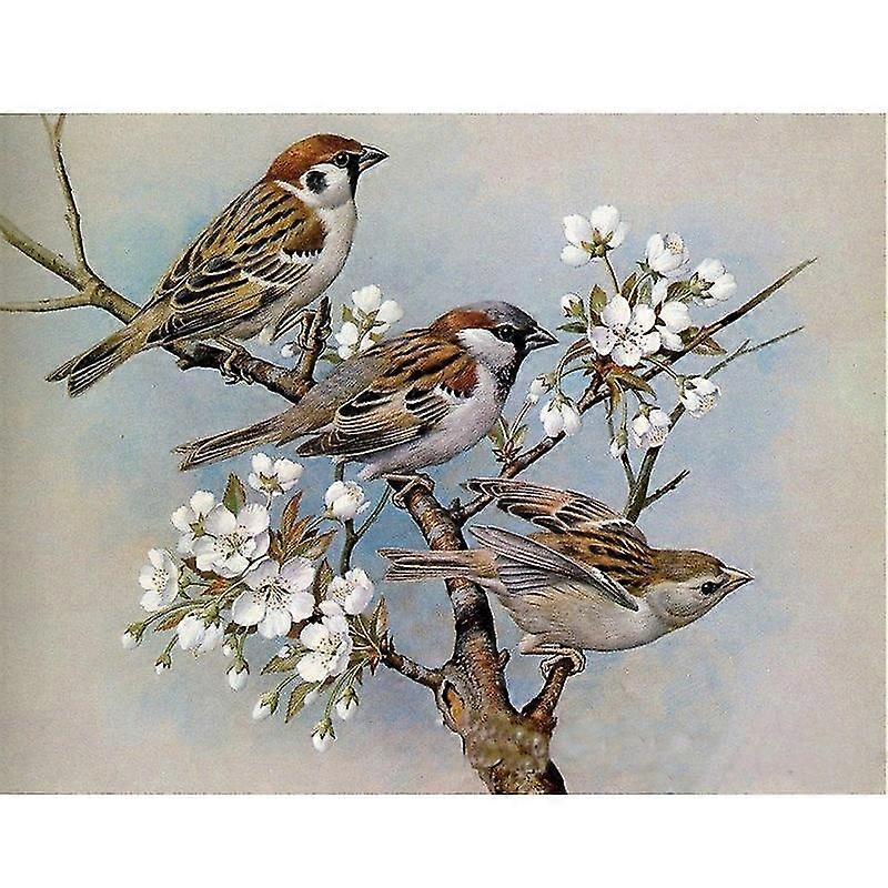 صورة الحائط الحفر الكامل 5D الماس التطريز الحيوان ثلاثة طيور الماس اللوحة زهرة الصليب غرزة الفسيفساء ديكور المنزل