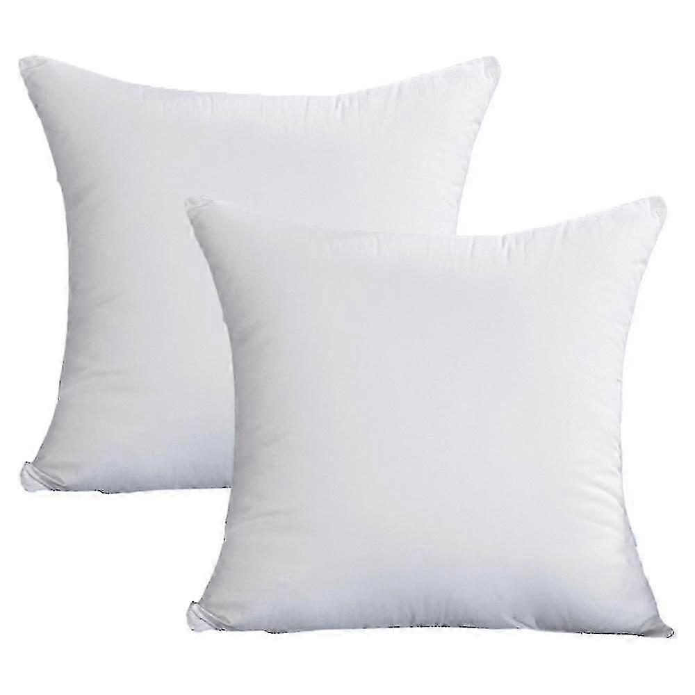 2pcs Cushion Core Waist Pillow Core Feather Velvet Pillow Core Abrasive Cotton Feather-proof Cloth Style1 40*40cm